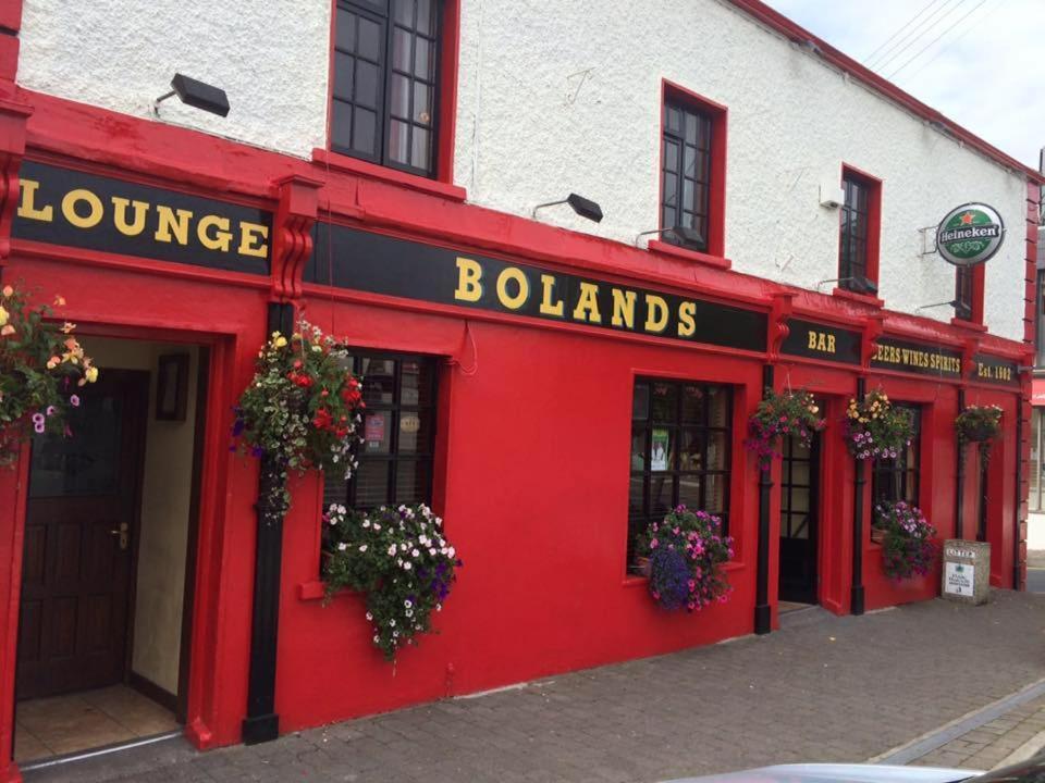 Bolands Self Catering Accommodation Hacketstown Bagian luar foto